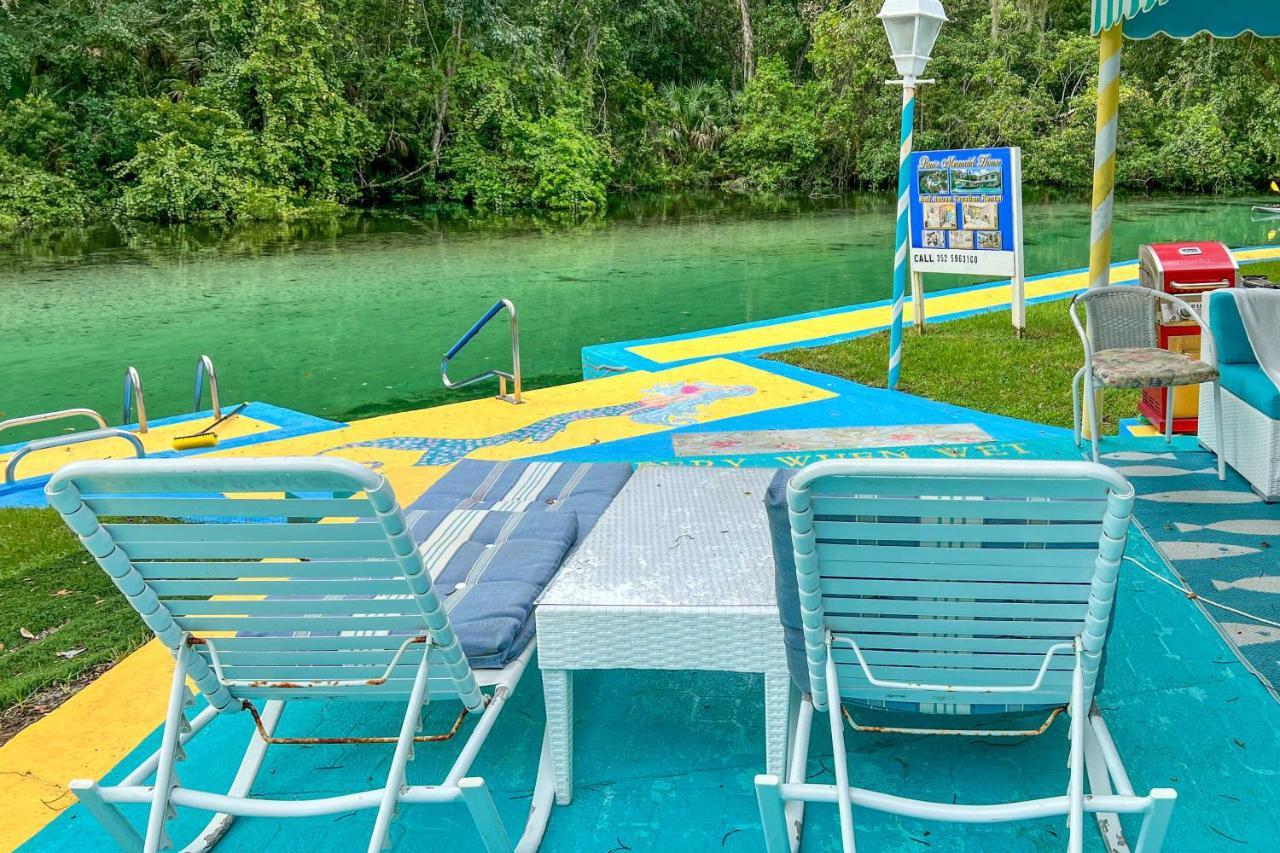 Pams Mermaid House With Riverfront Yard And Lanai! Apartment Weeki Wachee Exterior photo